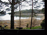 P5030014.jpg